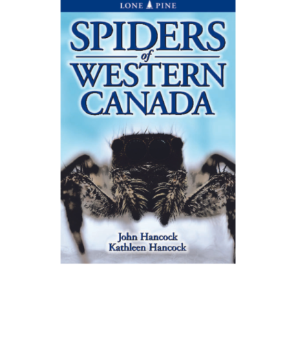 Spiders of Western Canada